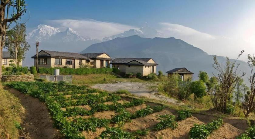 Hananoie - A Permaculture Resort Pokhara Exterior foto